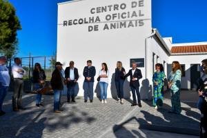 Centro De Recolha Oficial De Animais (13)