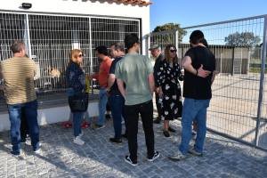 Centro De Recolha Oficial De Animais (17)