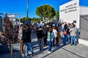 Centro De Recolha Oficial De Animais (19)
