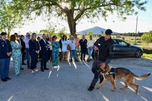 Centro De Recolha Oficial De Animais (3)