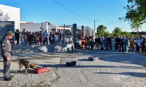 Centro De Recolha Oficial De Animais (9)