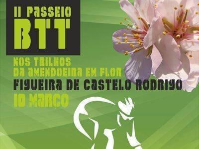 btt2013