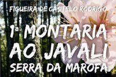 montaria montaria
