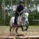 trec c