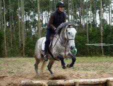 trec c