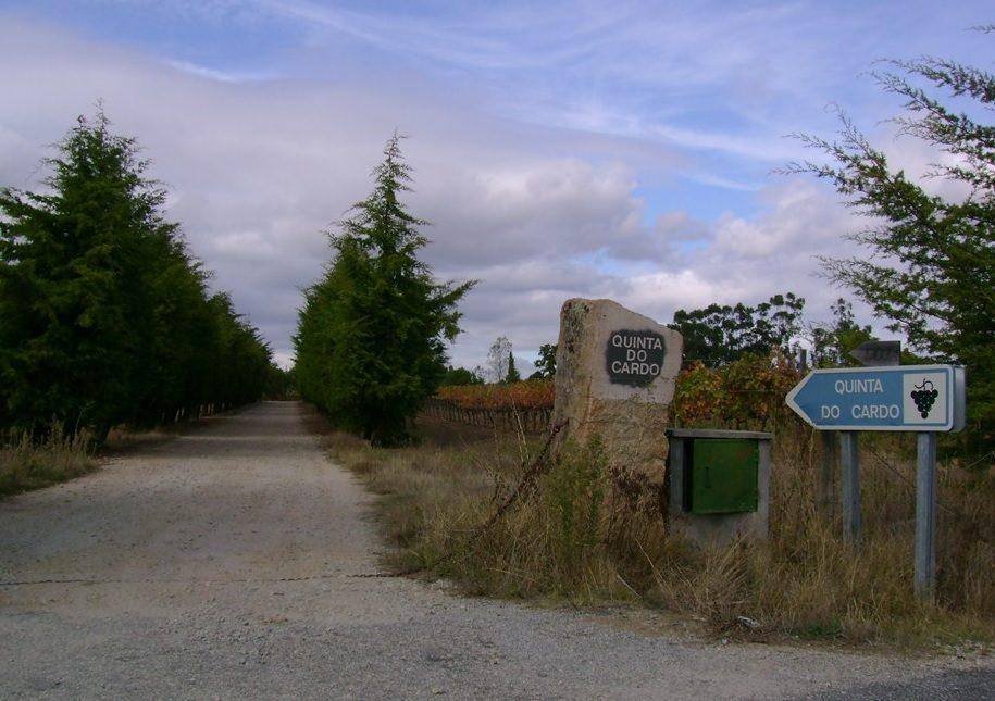 quinta do cardo