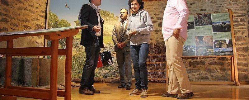 img 448173