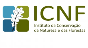 icnf icnf