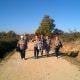 passeios pedestres 5