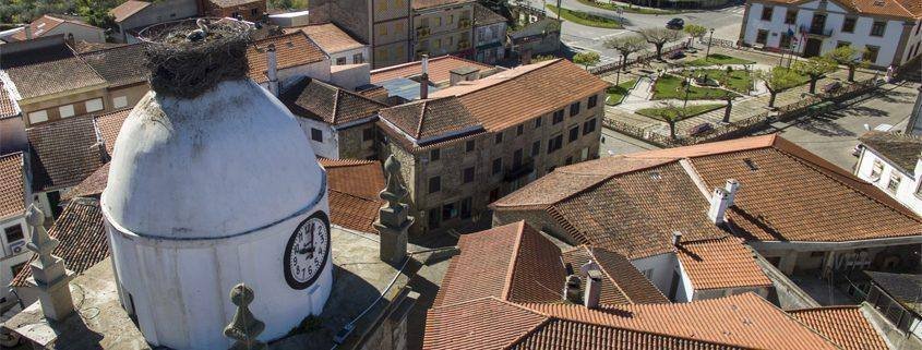 figueira 1