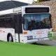 cegonha mobil retoma