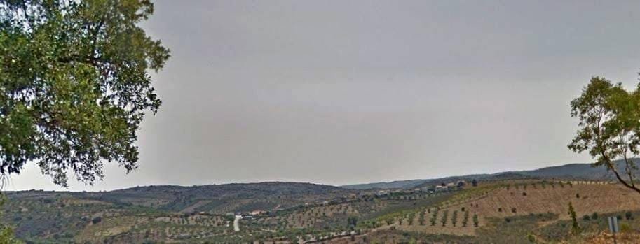 bizarril vista