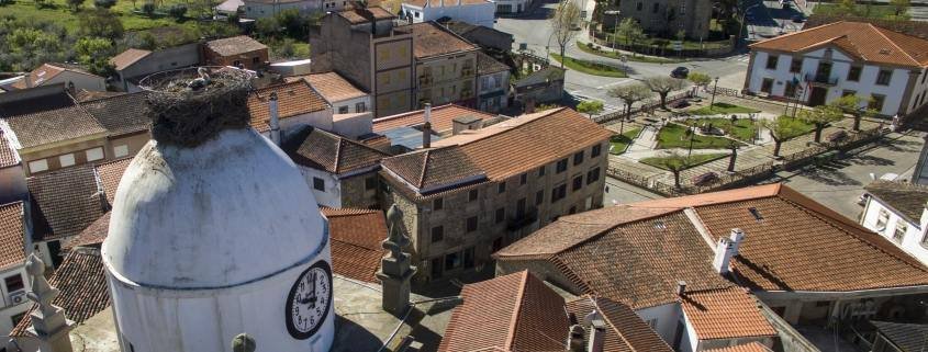 aerea Figueira scaled