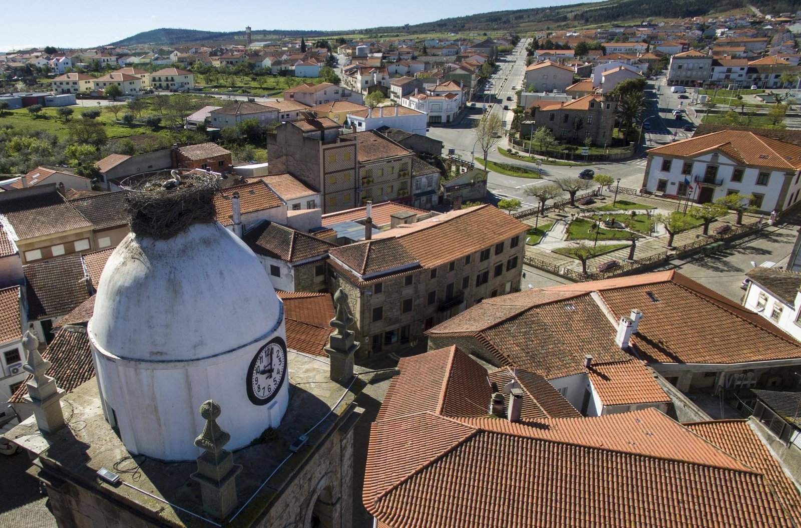 aerea Figueira scaled