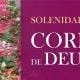 cartaz site