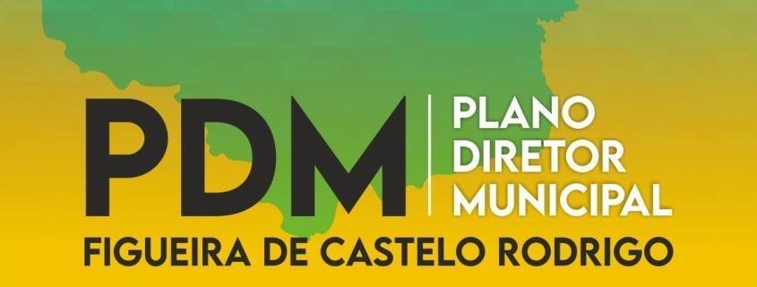 PDM 1