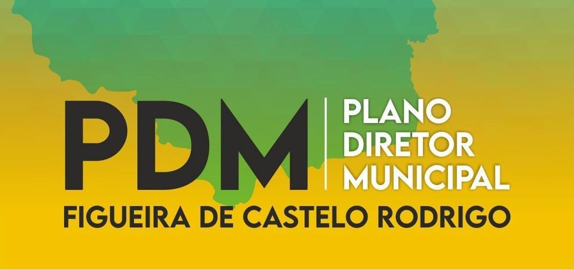 PDM 1