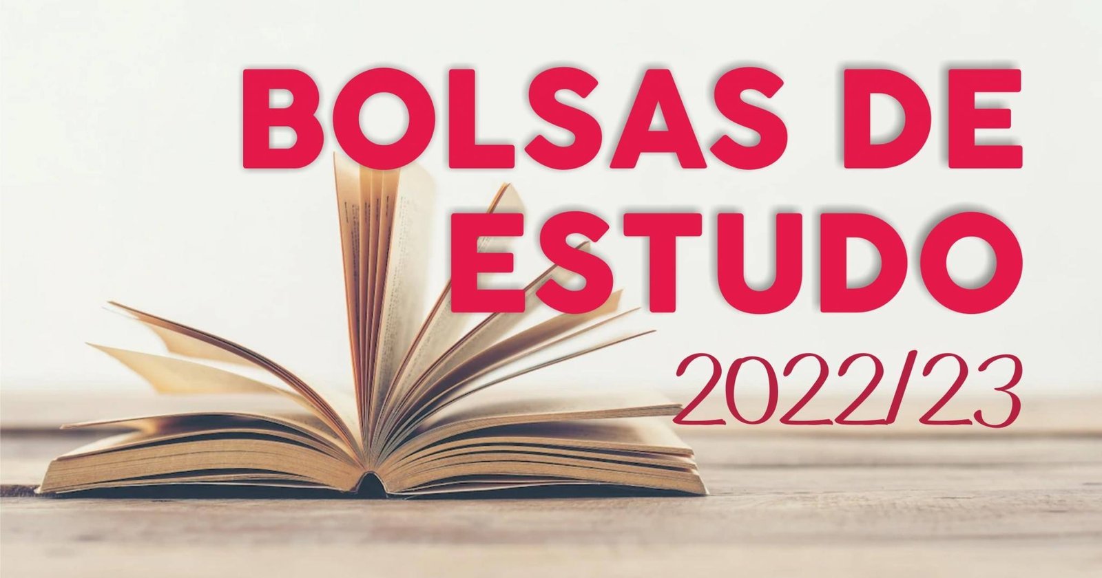 bolsas scaled