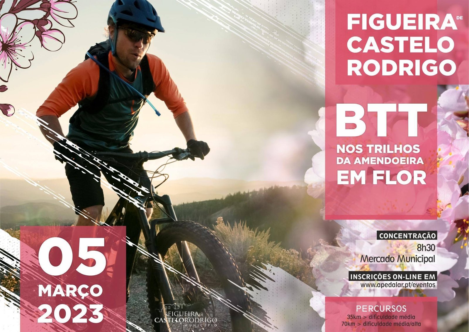btt 2023 scaled