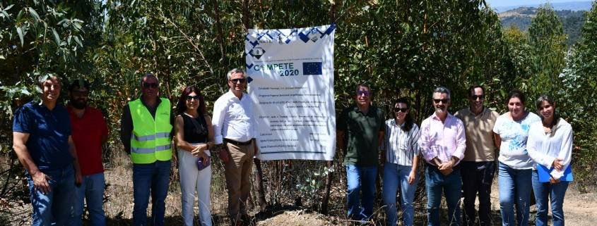 quinta da Moreirol 4