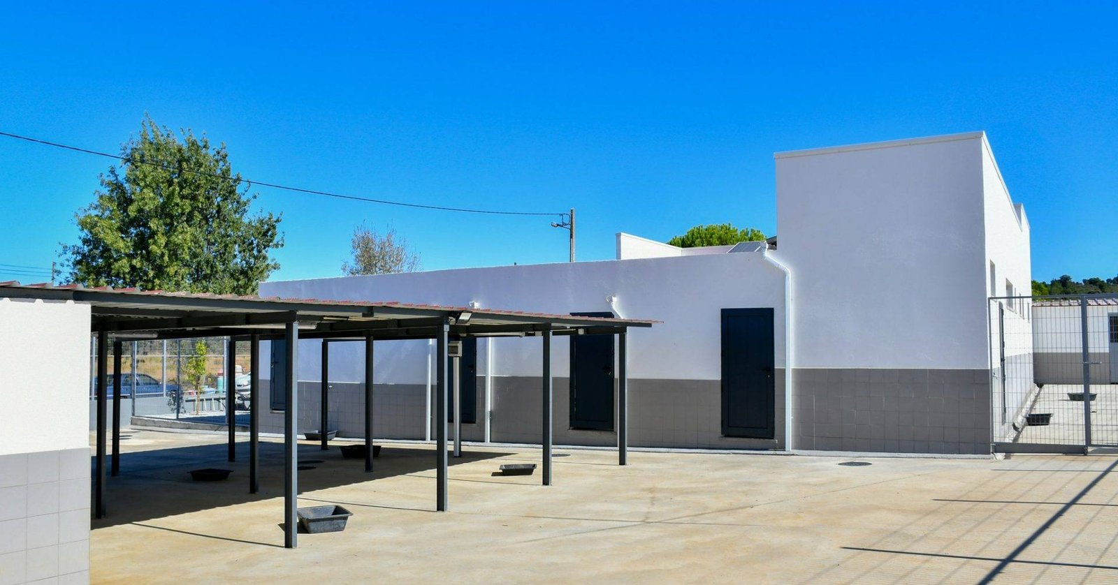 Centro de Recolha Oficial de Animais 3
