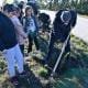Dia Da Floresta Autóctone Assinalado Em Figueira De Castelo Rodrigo (4)