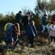 Dia Da Floresta Autóctone Assinalado Em Figueira De Castelo Rodrigo (7)