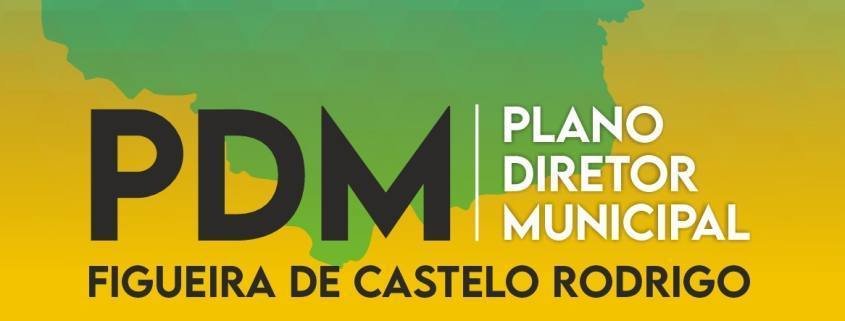 Pdm