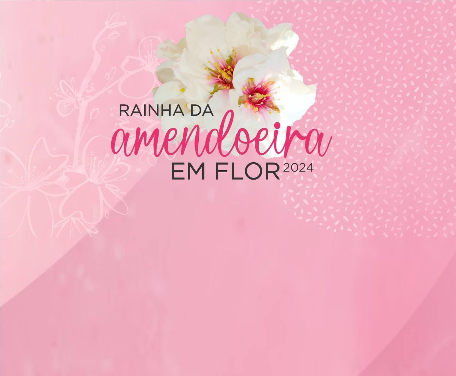Amendoeira Noticia
