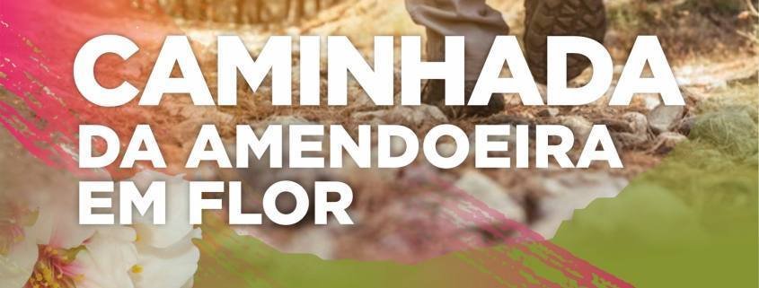 Caminhada Noticia