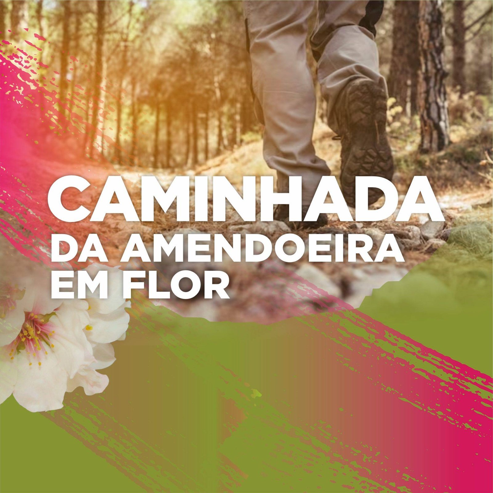 Caminhada Noticia