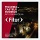 Fitur