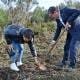 Reflorestação Na Serra Da Marofa (16)