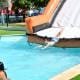 Verão Desportivo (6)