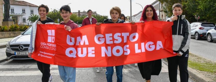 Passeio Rosa (13)