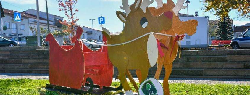 Enfeites De Natal – Natal Ecológico (13)