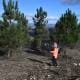 Gestão De Combustível (1)