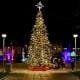 Terra Natal (4)