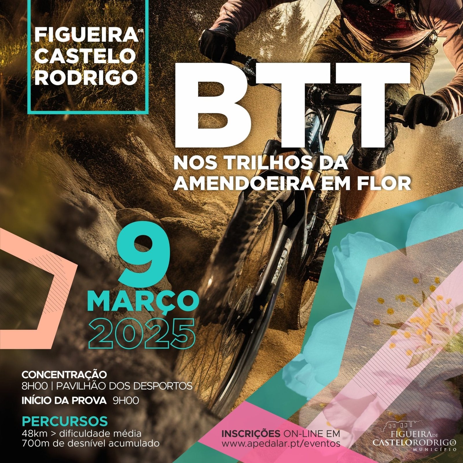 Btt