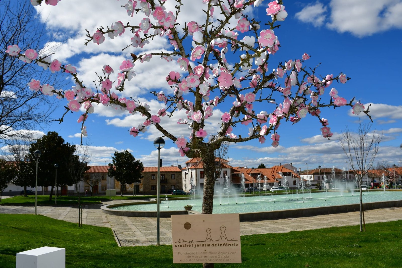 Amendoeiras Em Flor (10)
