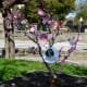 Amendoeiras Em Flor (6)