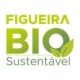 Figueira Bio Sustentável 1