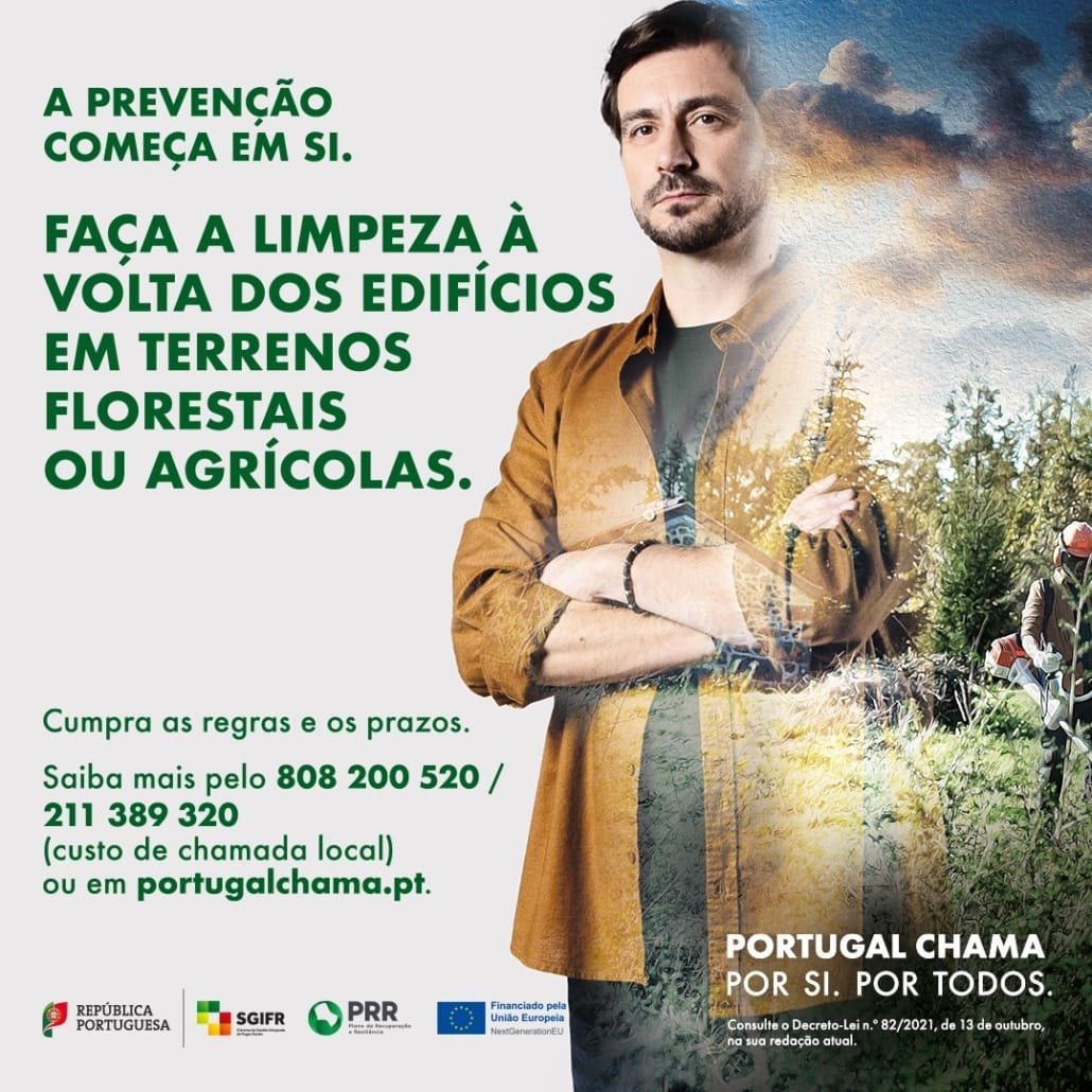 Limpeza De Terrenos