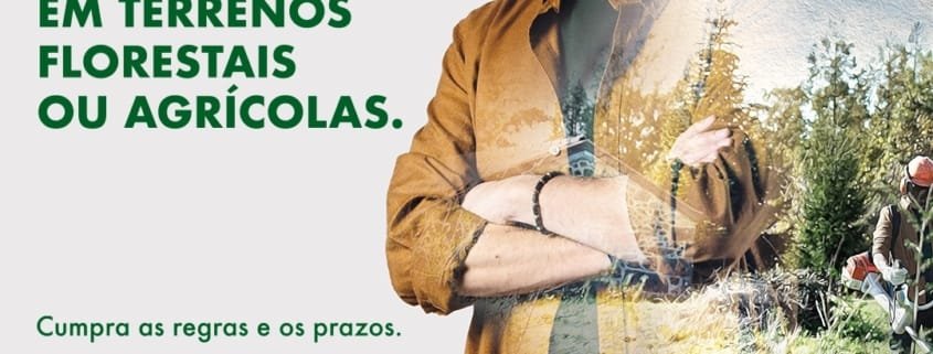 Limpeza De Terrenos