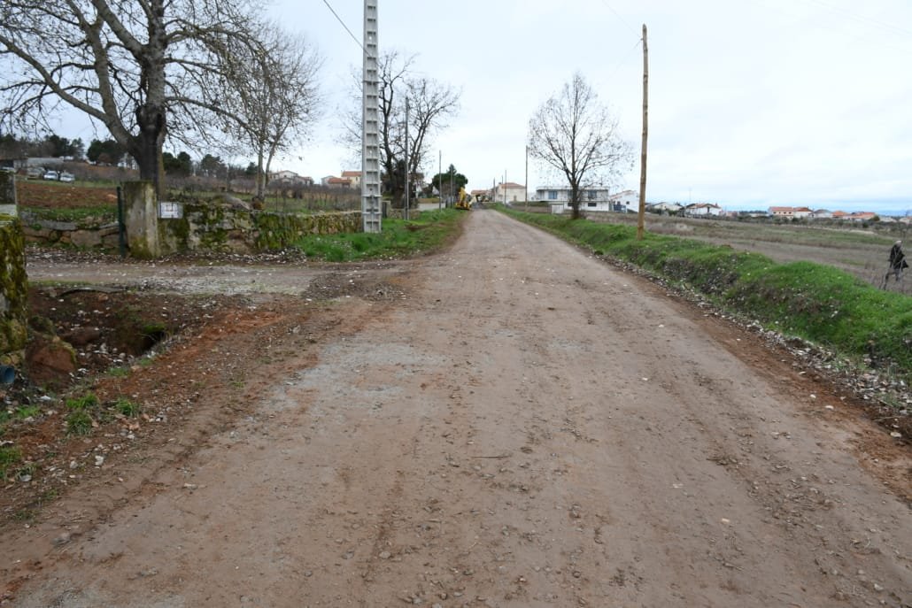 Dsc 2030