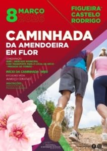 Amendoeira Caminhada