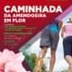 Amendoeira Caminhada