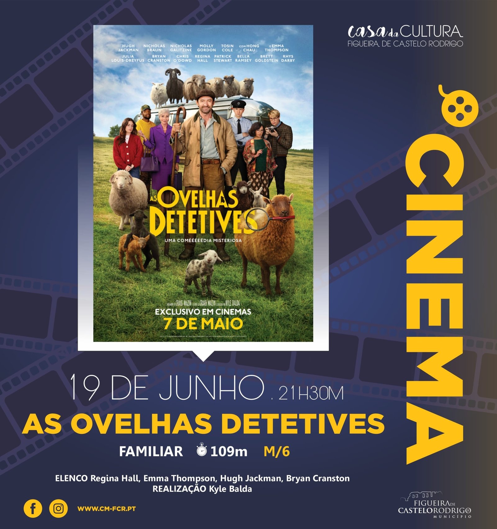 Ovelhas 1